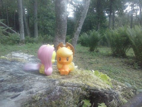 Applejack And Fluttershy, Applejack X Fluttershy, Fluttershy X Applejack, Fluttershy Header, Apple Jack And Rarity, Mlp Tumblr, Fluttershy And Applejack, Applejack Aesthetic, Fluttershy Core