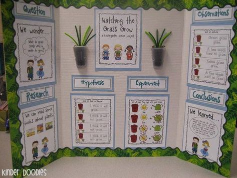 Plant Science Fair Projects, Kindergarten Science Fair Projects, Science Project Board, Science Fair Board, Science Fair Projects Boards, Cool Science Fair Projects, Science Fair Project, Primary Science, Fair Projects