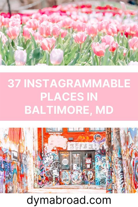 Looking for the most Instagrammable places in Baltimore to take beautiful pictures? These photo spots in Baltimore are wonderful! #baltimore #usa #photography #photospots #instagramspots Baltimore Restaurants, Usa Photography, Family Travel Quotes, Instagram Places, Best Instagram Photos, Most Instagrammable Places, Instagrammable Places, Baltimore Maryland, Baltimore Md