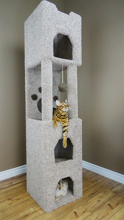 Katt Diy, Cat Condos, Cat Playhouse, Diy Cat Tree, Cat House Diy, Cat Towers, Cat Trees, Bengal Cats, Cat Spray