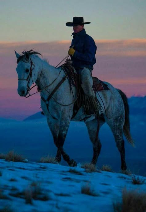 Cowboy Draw, Cowboy Photography, Cowboy Pictures, Western Artwork, Cowboy Theme, Cowboy Horse, Animal Study, Horse Drawing, Cowboy Art