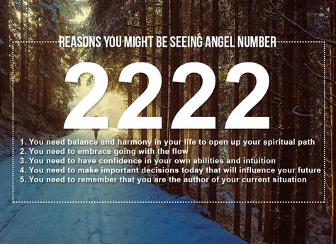 Angel Number 2222 Meanings – Why Are You Seeing 2222? 519 Angel Number Meaning, 222222 Angel Number, Angel Number 2222 Meaning, 2222 Meaning, 2222 Angel Number, Love Spirituality, Numbers Game, Numerology Life Path, Numerology Numbers