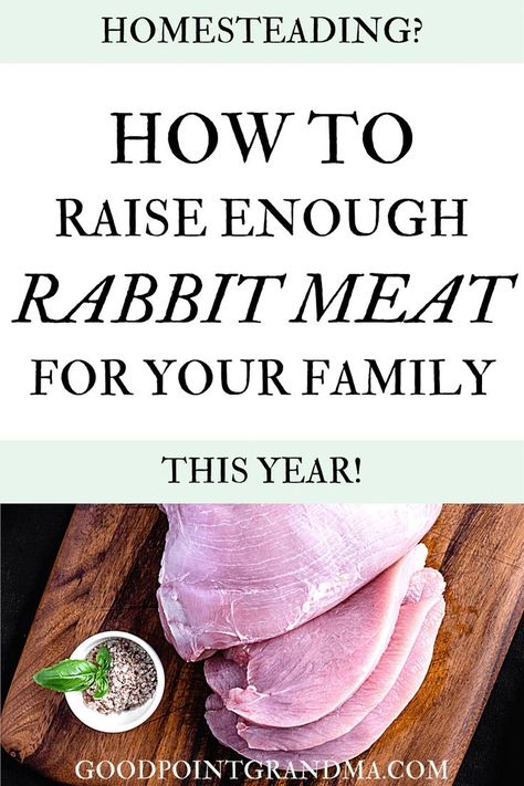 Are you wondering how to raise enough rabbit meat for your family this year? Here is an easy way to set up a systemized process and make your calculations! You can produce enough delicious rabbit meat for your family each year when you follow this approach. Rabbit meat is a wonderful meat source that is not just healthy but also sustainable too! Check this blog post out to see how we do it on our homestead! #rabbitmeat #rabbit #newzealandrabbit #homesteading #rabbitry #homesteadlife #meatsource Raising Rabbits For Meat, New Zealand Rabbits, Rabbit Meat, Rabbit Farm, Meat Rabbits, Raising Rabbits, Homesteading Diy, Easy Animals, Pig Farming