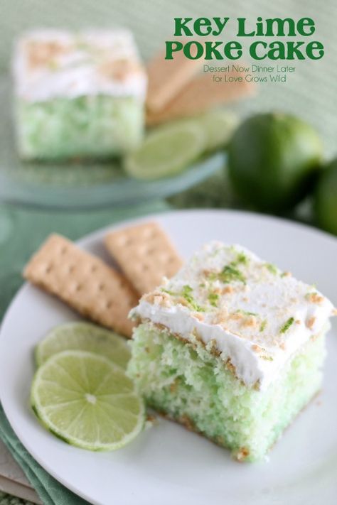 Moist, fluffy key lime cake with a lightly-sweetened whipped cream, topped with lime zest and graham cracker crumbs. Key Lime Poke Cake, Lime Poke Cake, Key Lime Cake, Lime Cake, Lime Recipes, Poke Cake Recipes, Poke Cakes, Gateaux Cake, Poke Cake