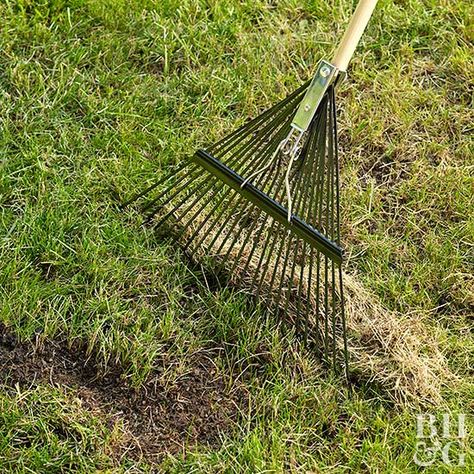 Decorating Patio Ideas, Dethatching Lawn, Aesthetic Patio, Patio Aesthetic, Lawn Problems, Lawn Repair, Asphalt Repair, Patio Gardening, Spring Lawn Care