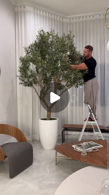 CFA Design Group on Instagram: "Ciao bello 🫒🌿✨ Elevate your space with our oversized faux olive trees from CFA Design Group! 🌿✨ These stunning trees are the perfect way to bring a touch of Mediterranean charm into your home or office. Each tree is meticulously crafted to look incredibly lifelike, adding a sense of natural beauty to any room. Whether you’re looking to enhance your living room, dining area, or outdoor patio, our faux olive trees are sure to make a statement. Upgrade your decor with these elegant and low-maintenance trees today! 🌿🏡 #FauxOliveTrees #MediterraneanChic #LifelikeBeauty #CFADesignGroup #ElegantDecor" Olive Tree Living Room Decor, Olive Tree In Living Room, Faux Olive Trees, Olive Trees Garden, Patio Trees, Indoor Tree, Faux Olive Tree, Faux Tree, Olive Trees