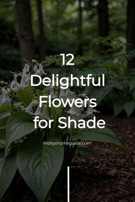 Got a shady spot in your garden? Flowers For Shade, Part Shade Plants, Shade Loving Flowers, Designing A Garden, Courtyard Plants, Shade Landscaping, Coral Bells Heuchera, Shade Garden Design, Flowers To Grow