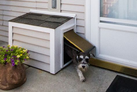 Sliding Dog Door, Doggy Doors To Outside, Dog Basement, Dog Door Ideas In Wall, Dog Doors For Large Dogs, Dog Door Ideas, Diy Dog Door, Smart Dog Door, Doghouse Ideas