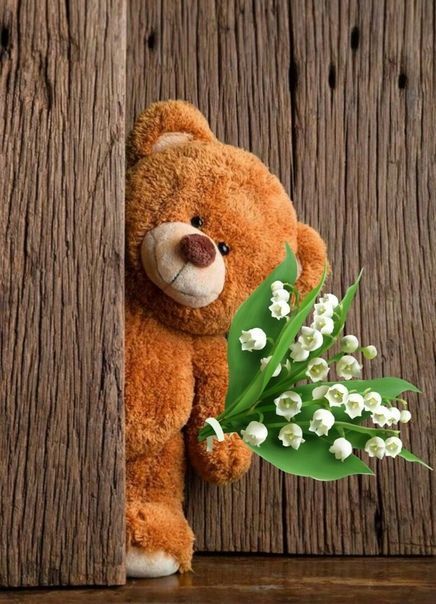 Diy Teddy Bear, Teddy Pictures, Teddy Bear Images, Teddy Day, Teddy Bear Wallpaper, Knitted Teddy Bear, Bear Images, Teddy Bear Pictures, Brown Teddy Bear