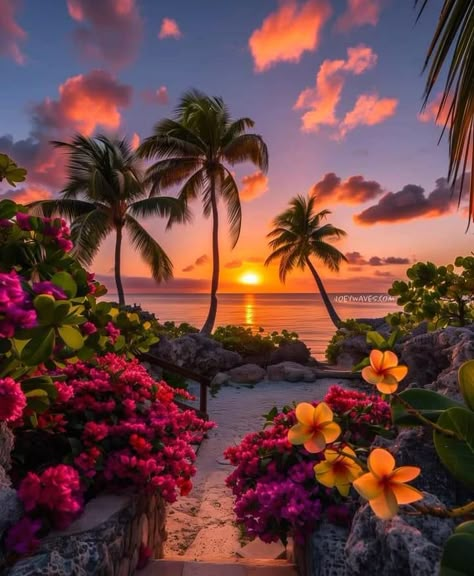 Hawaii Sunrise Aesthetic, Tropical Island Sunset, Aesthetic Pictures Hawaii, Tropical Jungle Garden, Tropical Forest Aesthetic, Island Vibes Aesthetic, Hawaiian Scenery, Summer Widgets Aesthetic, Living In Hawaii Aesthetic