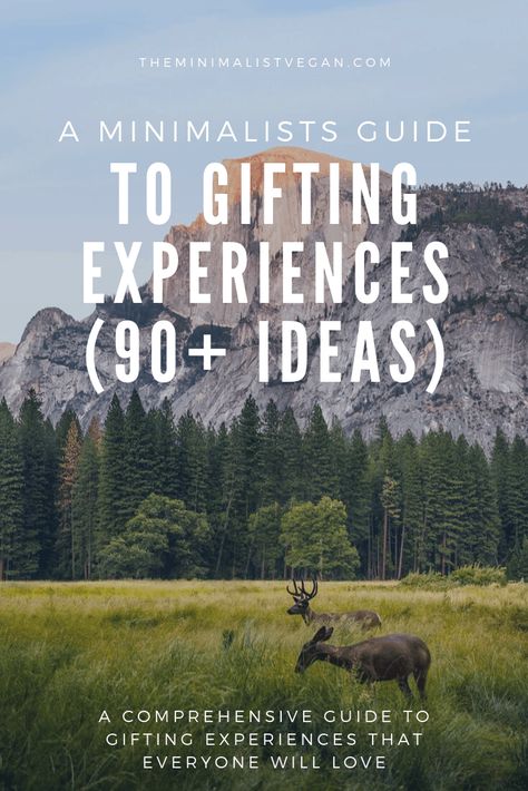 Experiences the entire family can enjoy! Gifts for those with everything or those that want to enjoy more in life. Gifting Experiences For Christmas, Gift Ideas Experiences, Birthday Adventure Ideas, Gift Ideas For Minimalist, Experience Gifts For Grandparents, New Experiences Ideas, Birthday Experiences For Him, Backyard Gift Ideas, Experience Gifts For Adults