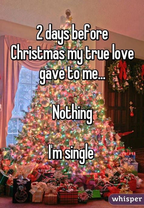 Single For The Holidays, Quotes For Singles, Holidays Quotes, Single Pringle, Single As A Pringle, Girl Singing, Single Memes, I'm Single, Single Mom Life