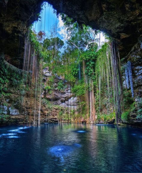 Mini Waterfall, Quintana Roo Mexico, Hanging Vines, Cheap Holiday, Yucatan Peninsula, Bucket List Destinations, Quintana Roo, Unique Flowers, Nature Scenes