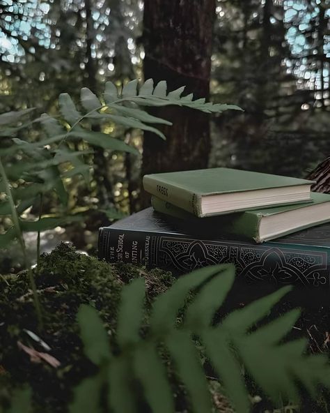 Nature Dark Academia, Plant Academia Aesthetic, Books In Nature Aesthetic, Dark Green Cottagecore Aesthetic, Nature Book Aesthetic, Nature Academia Aesthetic, Dark Hobbitcore, Dark Academia Plants, Green Books Aesthetic