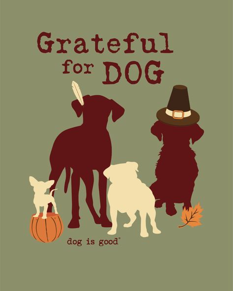 We're always thankful for Dog and we know you are, too 🐾✨ This last year has been a challenging one, but has also brought so many memories along with it! We wouldn't be the company we are today without your support and for that we will always be grateful 🤎 Dog Thanksgiving Pictures, Dog Art Diy, Best Dog Quotes, Dog Thanksgiving, Always Be Grateful, Pet Kennels, Thanksgiving Quotes, Animal Care, Be Grateful