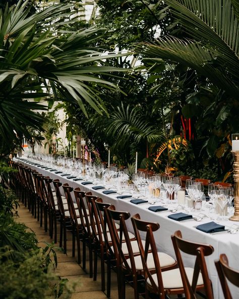 Dinner and dancing in the temperate house at @kewevents @kewgardens is always stunning! How breathtaking is this space?! I cannot wait to be part of their showcase in January-if you’re considering Kew for your wedding pop along and say hi. Photography @ejlewis Venue @kewevents @kewgardens Cake @bloomandcrumb illustrations by @clairejonesart #kewwedding #kewgardens #londonwedding #londonweddingphotographer #kewgardenswedding #tenperatehousewedding Kew Garden Wedding, Kew Gardens Wedding, Victoria Wedding, Gardens Wedding, Kew Gardens, London Wedding, Uk Wedding, Say Hi, Garden Wedding