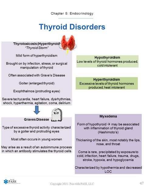 Endocrine Nursing Cheat Sheets, Emt Study Guide, Paramedic Science Notes, Paramedic Student Studying, Nremt Paramedic Test Prep, Nremt Emt Study Guide, Advanced Emt Study, Paramedic Study Notes, Emt Study Cheat Sheets