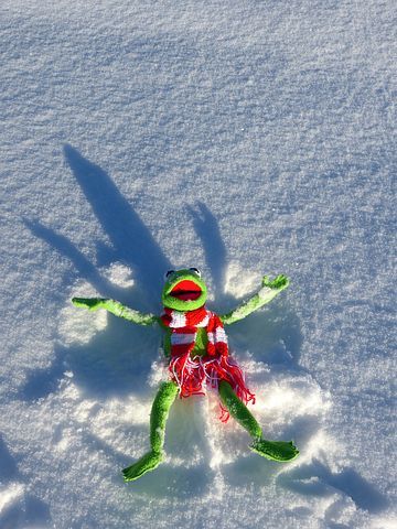 Kermit Christmas Wallpaper, Kermit Valentines Day, Kermit The Frog Christmas, Kermit Christmas, Activities To Do With Kids, Making Change, Kermit Funny, Snow Angel, Fun Activities To Do