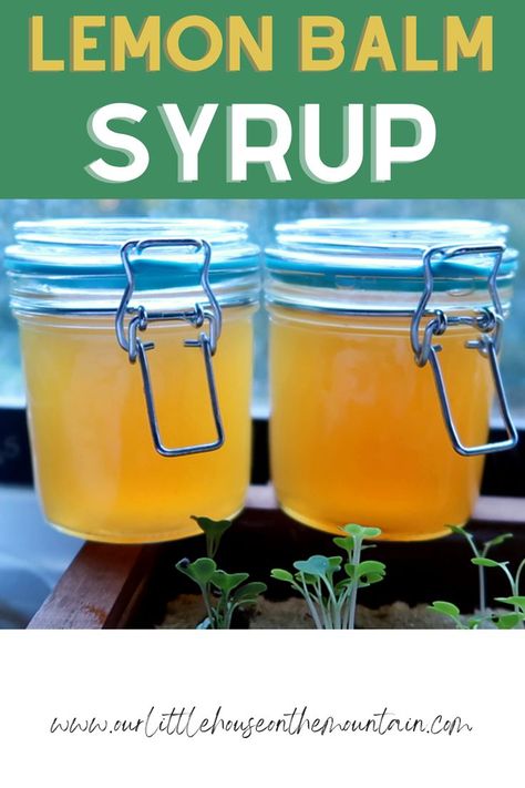 Lemon Balm Syrup Lemon Balm Uses, Lemon Balm Recipes, Homemade Cough Remedies, Herbal Medicine Recipes, Herbal Remedies Recipes, Medicinal Herbs Garden, Ginger Syrup, Herb Recipes, Elderberry Syrup