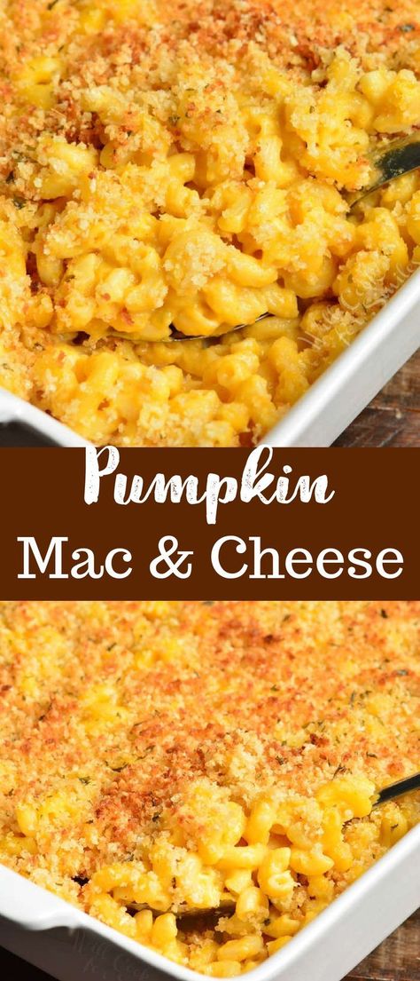 Pumpkin Pasta Recipe, Pumpkin Casserole, Pumpkin Recipes Dinner, Fall Pasta, Pumpkin Mac And Cheese, Savory Pumpkin Recipes, Pumpkin Pasta, Fall Dinner Recipes, Party Dishes