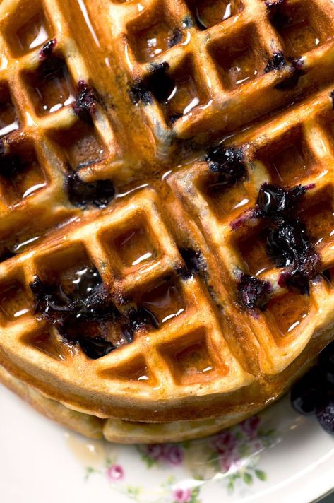 Blueberry Waffles Recipe, Buttermilk Waffle, Buttermilk Blueberry, French Toast Pancakes, Buttermilk Waffles, Banana Waffles, Blueberry Waffles, Brunch Foods, Cinnamon Roll Pancakes