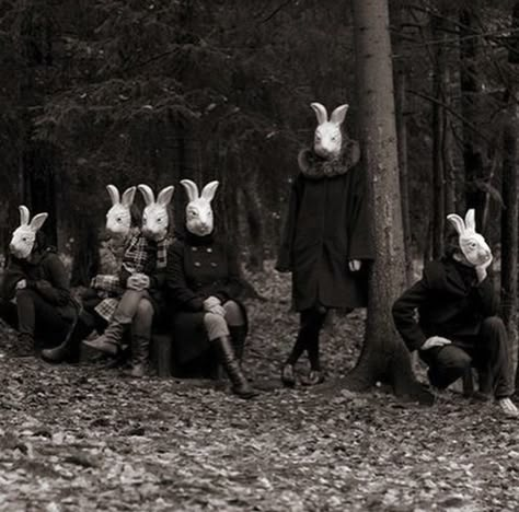 다크 판타지, Group Of People, Foto Art, Dark Photography, Bunny Ears, Pulp Fiction, Dark Art, Dark Aesthetic, Old Photos