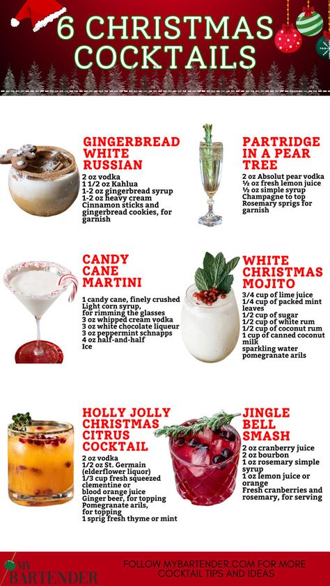 Christmas Cocktails Fun Christmas Party Drinks, Cozy Christmas Recipes, Christmas Drink Gift Ideas, Crockpot Drinks Christmas, Warm Winter Drinks Alcoholic, Christmas Tree Drink, Holiday Margaritas Christmas Drinks, Fancy Christmas Drinks, Christmas Inspired Drinks