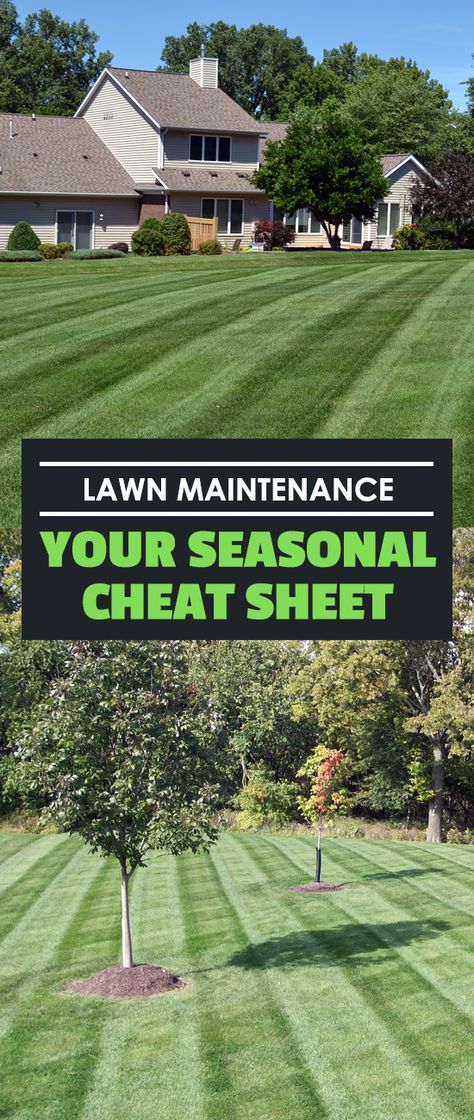 Lawn Care Schedule, Spring Lawn Care, Mulch Landscaping, Lawn Care Business, Yard Maintenance, Diy Lawn, Lawn Care Tips, Aerate Lawn, Lush Lawn