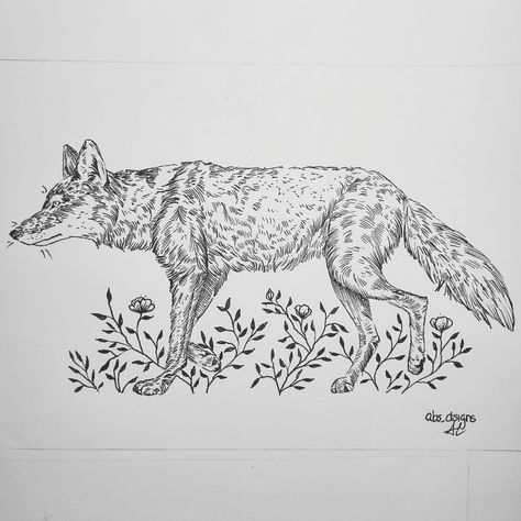 Coyote Tattoo Women, Coyote Drawing, Coyote Tattoo, Coyote Animal, Piercing Tattoo, Ink Drawing, Animal Drawings, Tattoos For Women, Art Inspo