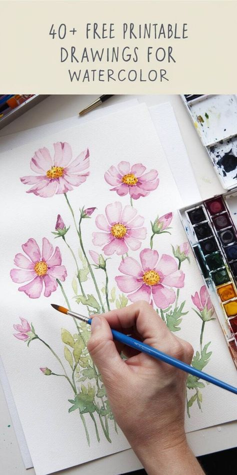 Hand painting pink cosmos flowers with a watercolor palette and brush. Watercolor Pages Free Printable, Watercolor Outlines Printable, Drawings For Watercolor, Free Watercolor Printable, Free Printable Stencils, Watercolor Templates, Printable Drawings, Sunflower Stencil, Watercolor Art For Beginners