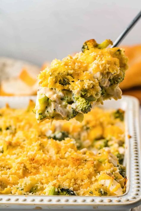 Broccoli Divan, Chicken Broccoli Divan, Chicken Divan Casserole, Chicken Divan Recipe, Creamy White Sauce, Broccoli Dishes, Chicken Divan, Hearty Chicken, Cheesy Casserole