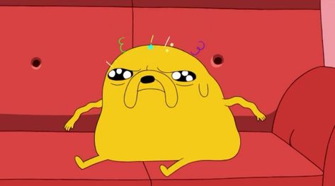 Jake The Dog Reaction Pic, Funny Jake The Dog, Funny Adventure Time Pics, Adventure Time Reaction Pics, Jake The Dog Pfp, Adventure Time Funny, Noxus League Of Legends, Jake Adventure Time, Jake The Dog