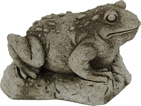 Amazon.com: Toad Garden Statues Cement Frog Sculptures Cast Stone Frogs Figurines : Patio, Lawn & Garden Toad Garden, Garden Frog Statue, Concrete Garden Statues, Garden Frog, Concrete Garden Ornaments, Frog Sculpture, Frog Garden, Painting Cement, Frog Ornaments