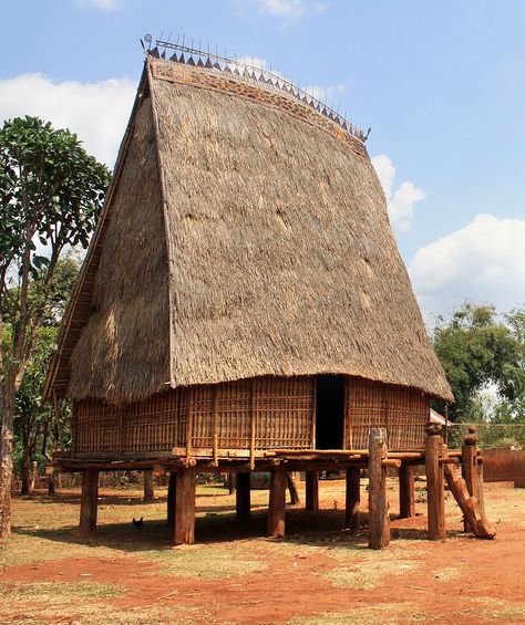 Indigenous House, Elevated Architecture, Vietnamese Architecture, House Hall Design, Stilted House, Open Plan Design, Stilt House, African House, Unlikely Friends