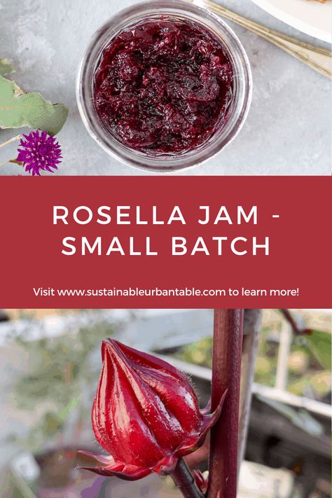 Roselle Jam Recipe, Rosella Jam Recipes, Rosella Recipes, Roselle Recipes, Homemade Pectin, Rosella Jam, Hibiscus Jam, Roselle Jam, Pickling Vegetables