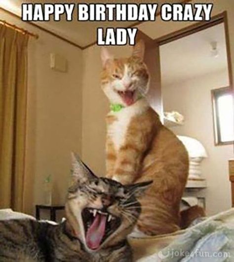 Cute Cat Memes & Funny Kitty Pics Happy Funny Birthday, Happy Birthday Crazy Lady, Happy Birthday Crazy, Cat Birthday Memes, Happy Birthday Humorous, Funny Birthday Pictures, Birthday Images Funny, Funny Happy Birthday Images, Meme Chat