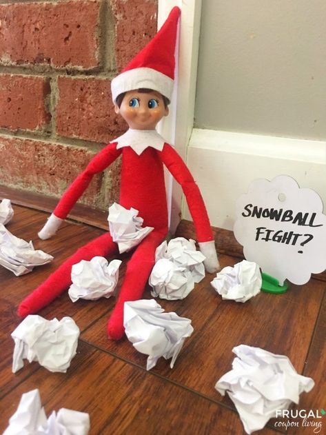 Elf on the Shelf Ideas - Snowball Fight? Daily ideas on Frugal Coupon Living #elfontheshelf #elf #elfontheshelfideas #elfideas #elfdoll #elfie Elf Snowball, Elf On The Shelves, Elves At Play, Elf Classroom, Classroom Elf, Funny Elf On The Shelf, Elf Ideas Easy, Elf Shelf, Chirstmas Decor