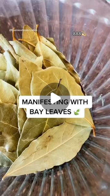 Buenas Vibras Crystals on Instagram: "Bay leaf manifestation 🍃 The easiest way to manifest anything! #bayleafmanifestation #lawofattraction #888" Bay Leaf Manifestation, Wicca Recipes, Money Spells That Work, Easy Love Spells, Negative Vibes, Tips For Happy Life, Spells For Beginners, Witch Spirituality, Happy Relationship