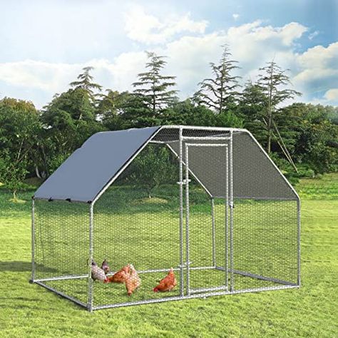 Related posts - Amazon.com Chicken Hut, Chicken Runs And Coop, Walk In Chicken Run, Walk In Chicken Coop, Poultry Cage, Steel Door Design, Chicken Run, Chicken Cages, Metal Chicken