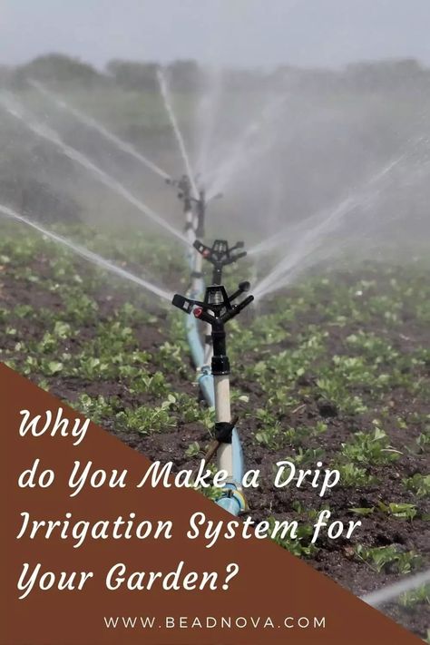 Rain Barrel System, Drip Irrigation Diy, Frugal Gardening, Modern Agriculture, Modern Farmer, Sprinkler Irrigation, Water Scarcity, Drip Irrigation System, Agricultural Practices