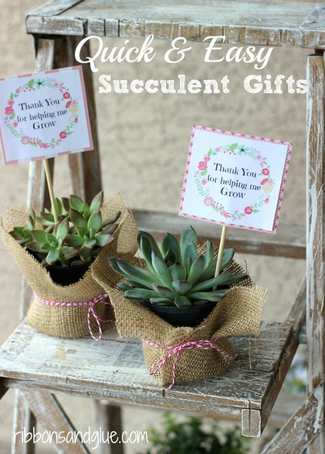 Easy Succulent Gifts with Free Printable.  Great idea for Teacher Gifts or Mother's Day! Succulent Printable, Quick Diy Gifts, Mother's Day Printables, Succulent Gift, نباتات منزلية, Diy Gifts For Mom, Teachers Diy, Succulent Gifts, Cadeau Diy