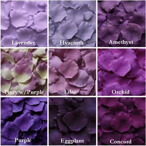 Colour Palette Fake Rose Petals, Flower Girl Petals, Silk Rose Petals, Purple Wedding Flowers, Silk Roses, Wedding Plans, Purple Roses, Purple Wedding, Wedding Color Schemes