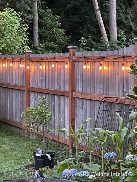 How to Hang Outdoor String Lights: The Ultimate Guide - Jessica Welling Interiors Hanging Patio Lights, Backyard String Lights, Outdoor String Lights Patio, Outdoor String Lights, Patio String Lights, Fence Lighting, Backyard Lighting, How To Hang, Fence Decor