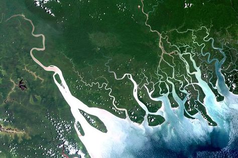 The Gulf of Papua is 400 kilometre-wide region on the south shore of New Guinea Delta Landform, River Mouth, Mississippi Delta, Fabric Work, Mangrove Forest, River Delta, Sea Level Rise, State Of Oregon, Satellite Image