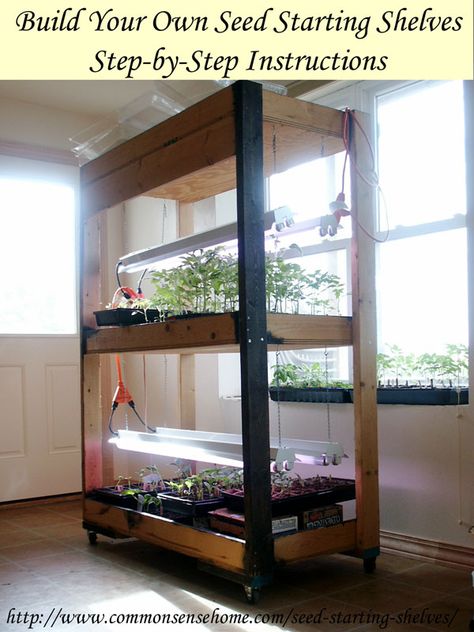 Build Your Own Simple Seed Starting Shelves with room for up to 576 seedlings under the grow lights. Sturdy, moveable and easy enough for a weekend project Seed Starting Calendar, Gardening Calendar, Growing Tomatoes In Containers, نباتات منزلية, Garden Shelves, Starting Seeds Indoors, Grow Room, Hydroponic Gardening, Veggie Garden