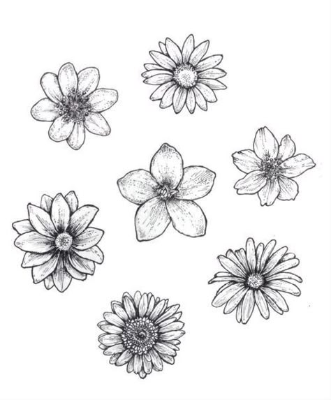 https://brightercraft.com/2018/11/09/25-beautiful-flower-drawing-ideas-inspiration/ Flower Drawing Ideas, Easy Flower Drawings, Pencil Drawings Of Flowers, Beauty Drawings, Beautiful Flower Drawings, Flower Drawing Design, Flower Art Drawing, Flower Sketches, Floral Drawing