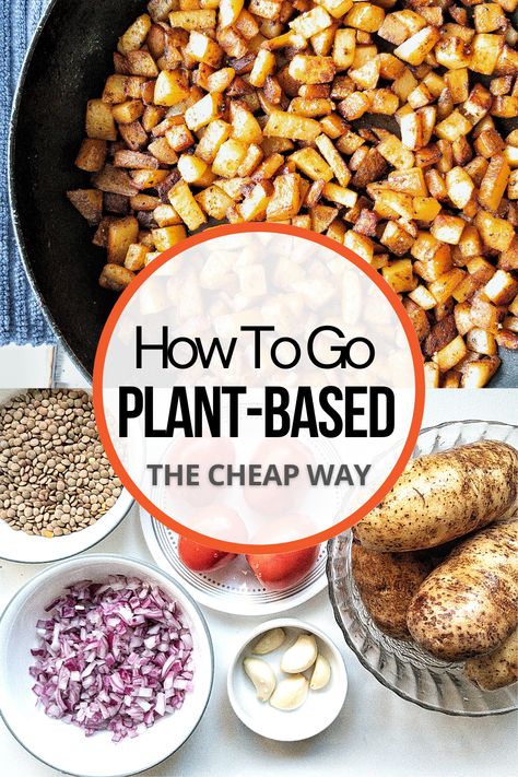 Plant Diet For Beginners, Plant Based And Vegan Recipes, Plant Based Diet For Beginners Recipes, Plant Based Diet On A Budget, How To Eat Plant Based Diet, How To Go Plant Based, Easy Cheap Plant Based Meals, Plant Based Easy Recipes, Plant Based Recipes On A Budget