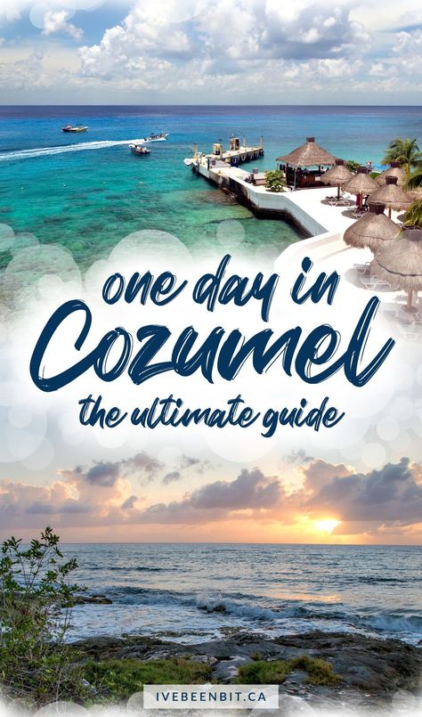 Best Restaurants In Cozumel, Things To Do In Cozumel Cruise Port, Cozumel Mexico Cruise Port, Cozumel Mexico Things To Do In, Cozumel Restaurants, Cozumel Mexico Pictures, Cozumel Mexico Beaches, Cozumel Mexico Cruise, Cancun Honeymoon