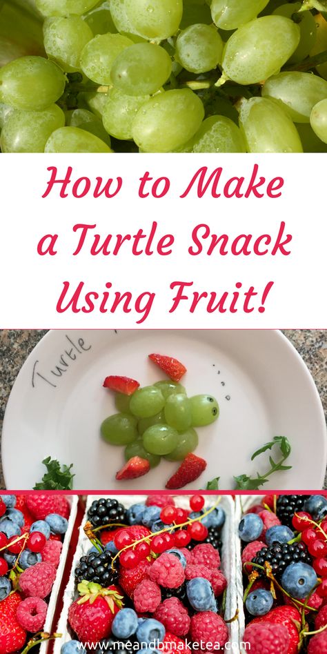 How to Make a Turtle Snack Using Fruit healthy five a day ideas! I thought it would be fun to experiment with some fruit and create some cute turtles of our own. When I was a kid I actually had a tortoise. Our cat found him, hibernating in the mud at the Turtle Snacks For Kids, Desert Tortoise Food, Turtle Snacks, What Do Turtles Eat, Red Footed Tortoise Food, Tortoise Diet, Toddler Picky Eater, Russian Tortoise Diet, Blogger Ideas