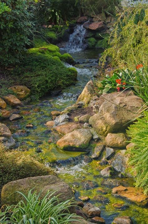 Garden Stream, Taman Air, Garden Waterfall, Pond Landscaping, Waterfalls Backyard, Natural Pond, Pond Design, Have Inspiration, Water Features In The Garden